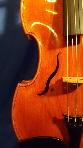Ouïe du violon d'amour Physalis